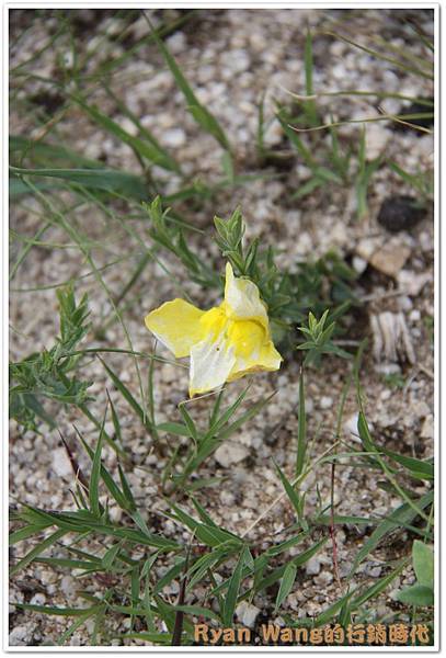 外蒙古旅遊471 外蒙古旅遊471