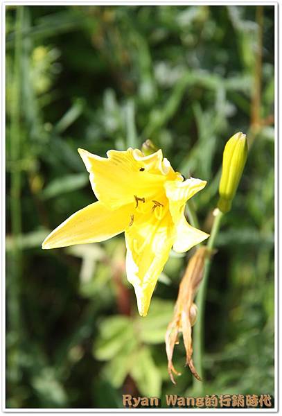 外蒙古旅遊482 外蒙古旅遊482