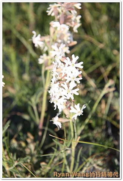 外蒙古旅遊484 外蒙古旅遊484