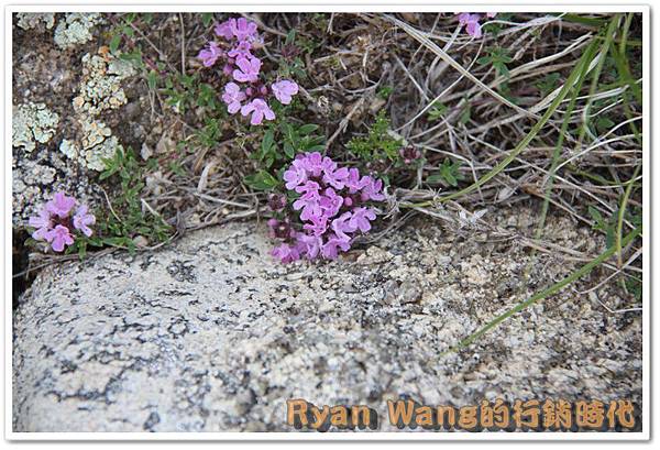 外蒙古旅遊474 外蒙古旅遊474