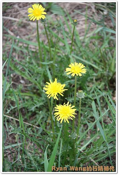 外蒙古旅遊478 外蒙古旅遊478