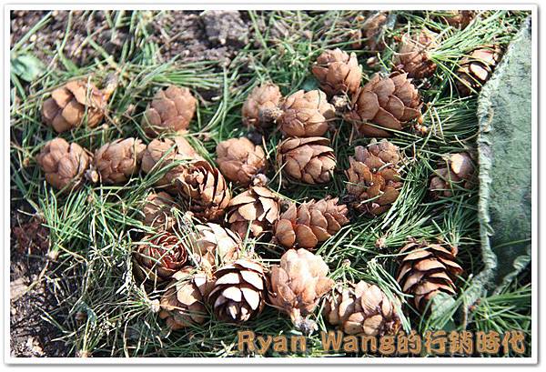 外蒙古旅遊485 外蒙古旅遊485