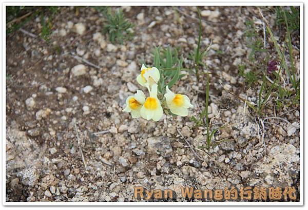 外蒙古旅遊475 外蒙古旅遊475