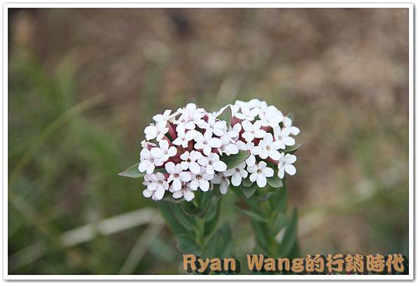 外蒙古旅遊467 外蒙古旅遊467