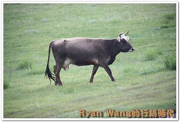 外蒙古旅遊490 外蒙古旅遊490