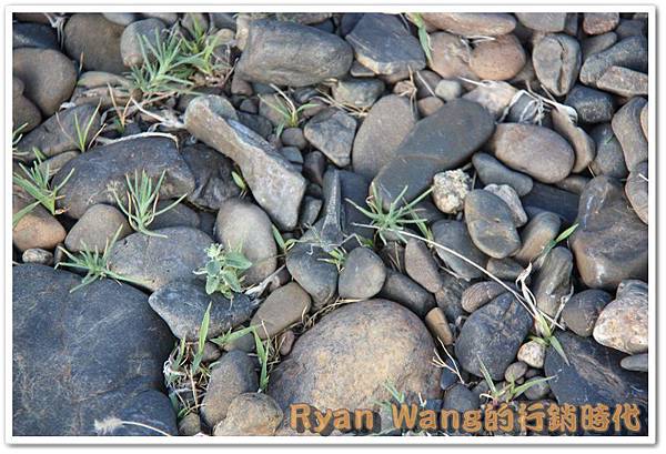 外蒙古旅遊489 外蒙古旅遊489