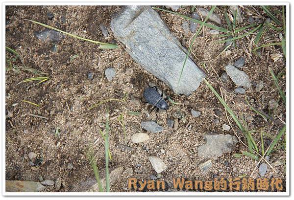 外蒙古旅遊487 外蒙古旅遊487