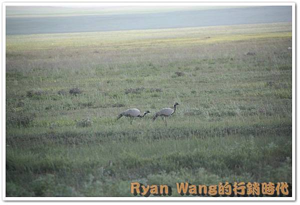 外蒙古旅遊496 外蒙古旅遊496