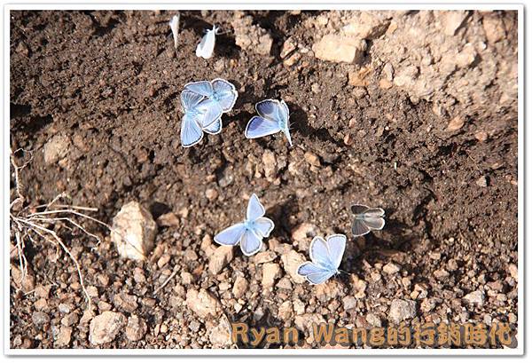 外蒙古旅遊 外蒙古旅遊