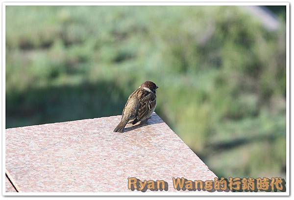 外蒙古旅遊494 外蒙古旅遊494