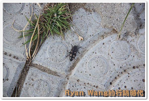 外蒙古旅遊488 外蒙古旅遊488