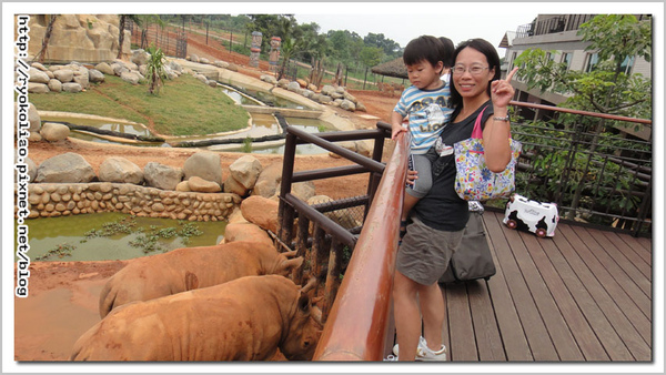 犀牛就在我角下