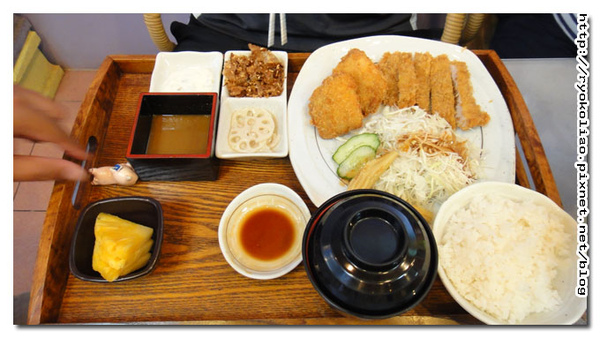 日式咖哩炸魚排炸豬排全餐