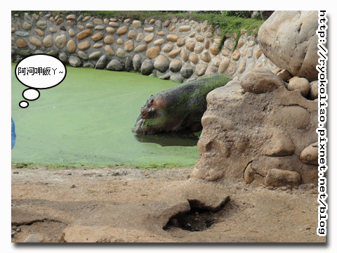 貴為園區大家長我當評審 貴為園區大家長我當評審