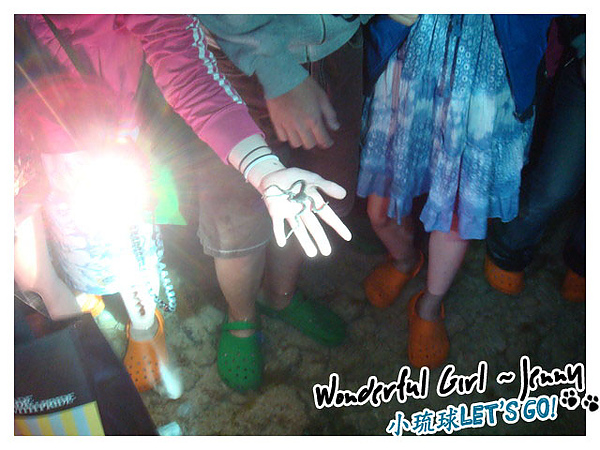 潮間帶看海底生物