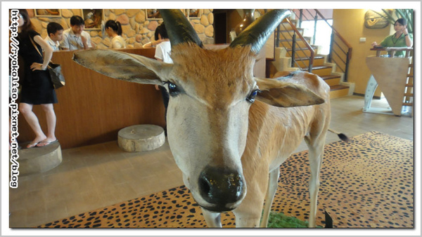非洲羚羊大廳迎賓