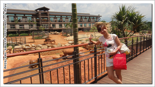 犀牛屁股比我大