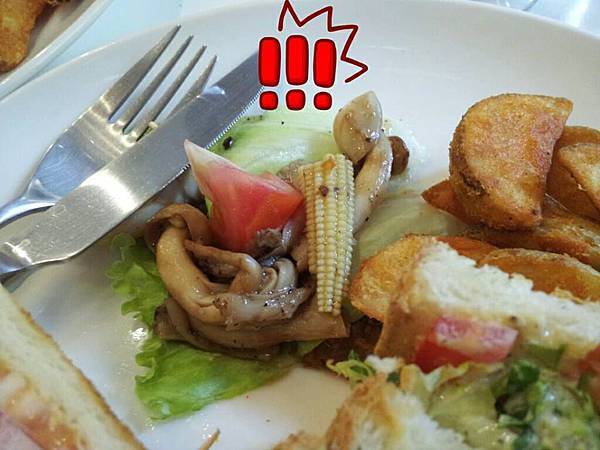 1236905_643249152360149_840868871_n