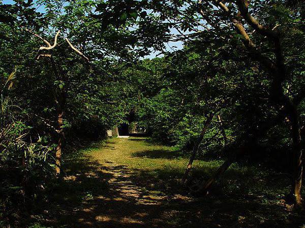 崎頂鐵路 崎頂鐵路