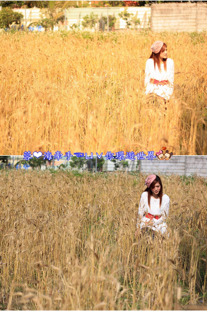 2025台中大雅一日遊,台中大雅7個景點推薦,免門票觀光工廠 2025台中大雅一日遊,台中大雅7個景點推薦,免門票觀光工廠