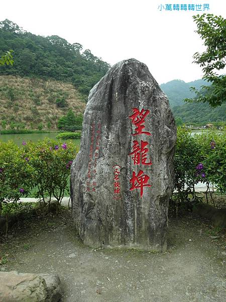 SAM_5466 SAM_5466
