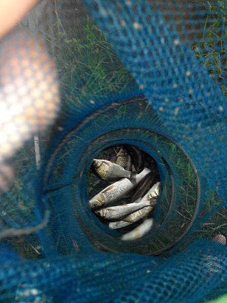 IMG_20141009_172000 圖片點擊可在新窗口打開查看