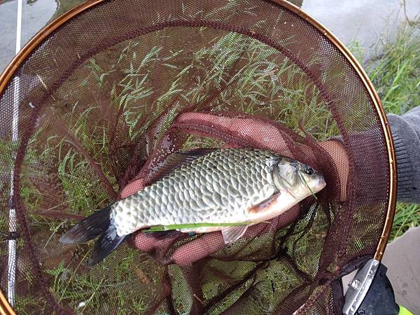 S__1466376 圖片點擊可在新窗口打開查看