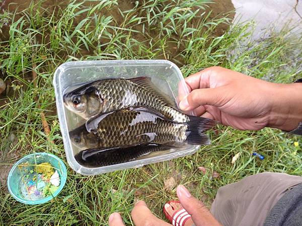 S__1466385 圖片點擊可在新窗口打開查看