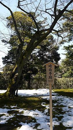 6658_10200267317978195_1075807148_n