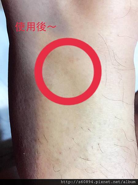 11008966_10153009032248159_289484676_n 試用