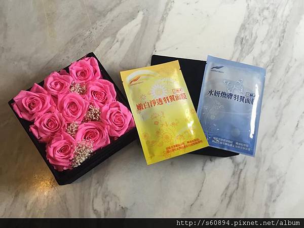 11051133_10153053496368159_2010452625_n 試用