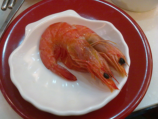 20110128099.jpg 20110128099.jpg