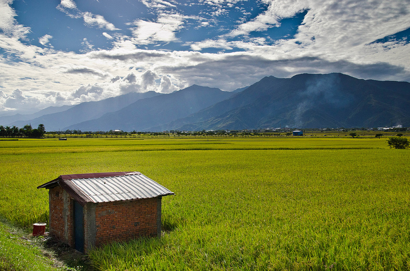 7049911173_0c51796cac_c