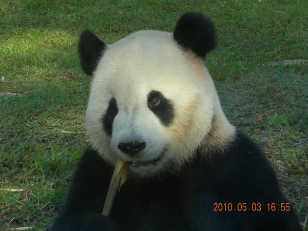照片 336 照片 336