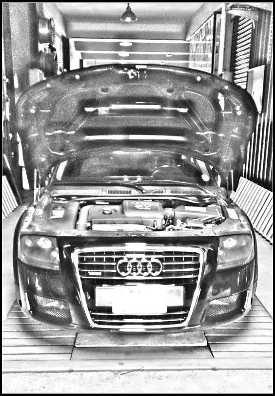 Audi56 Audi56