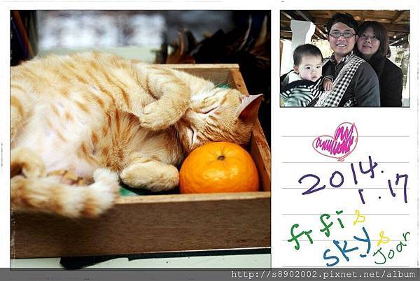 猴硐看貓1