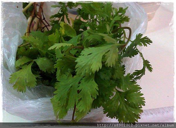 豆渣餅11 豆渣餅11