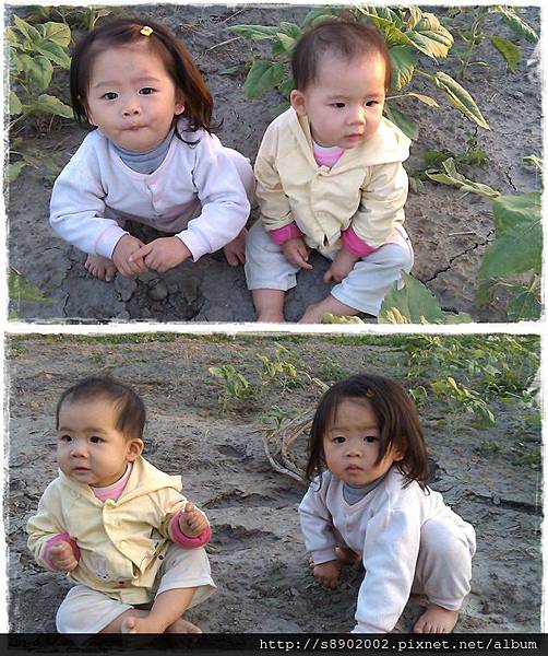 田裡玩耍01 田裡玩耍01