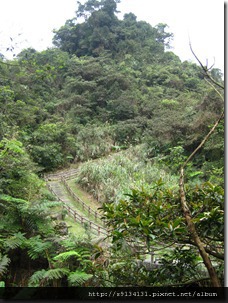 【基隆暖暖】泰安瀑布 - 泰安暖暖系列(1/3) IMG_1881