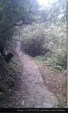 【基隆暖暖】泰安瀑布 - 泰安暖暖系列(1/3) IMG_20120304_150849