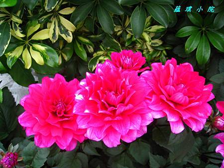 IMG_6778.jpg IMG_6778.jpg