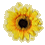 20_haroow89032 20_haroow89032