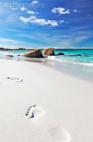 2010-10-31_203259.jpg 2010-10-31_203259.jpg