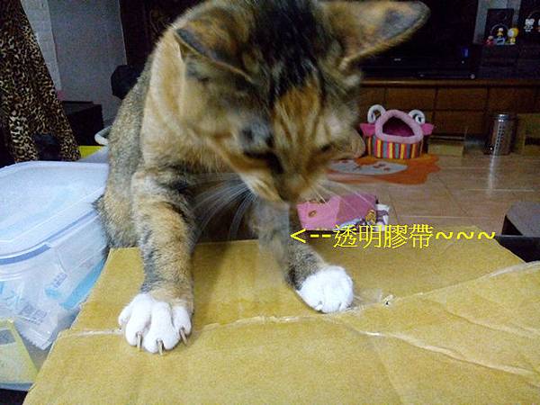 DSC_1517_1 DSC_1517_1