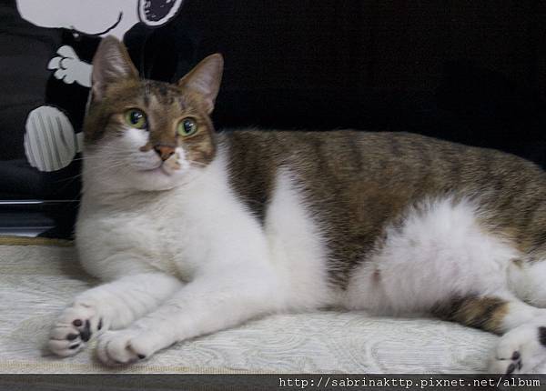 IMG_0030.jpg IMG_0030.jpg