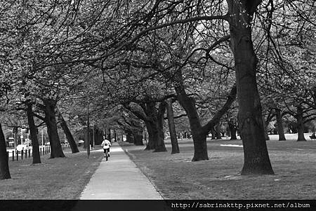 IMG_0047.jpg IMG_0047.jpg