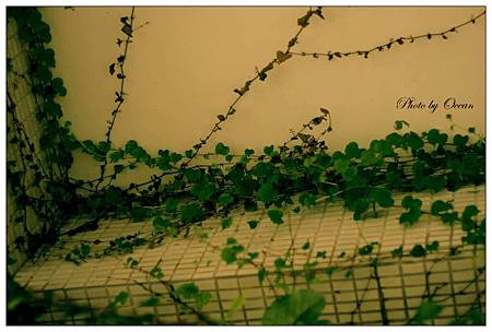 559527_10200104083308806_1486877387_n