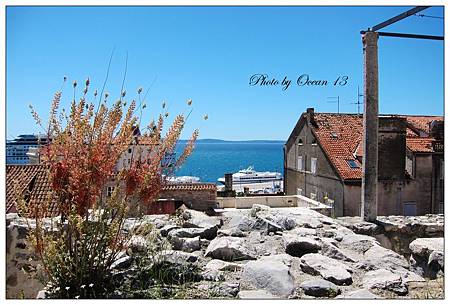 IMG_5133.jpg IMG_5133.jpg