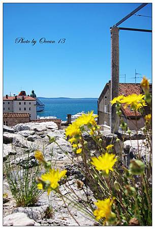 IMG_5134.jpg IMG_5134.jpg