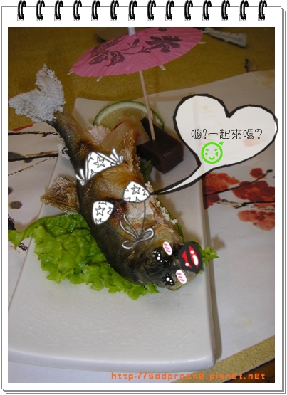日光浴的魚 日光浴的魚